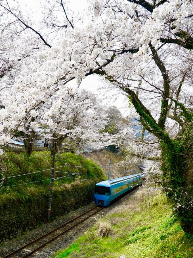 山北鉄道公園