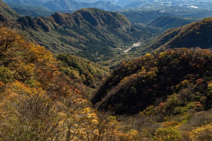赤城山 鳥居峠 紅葉