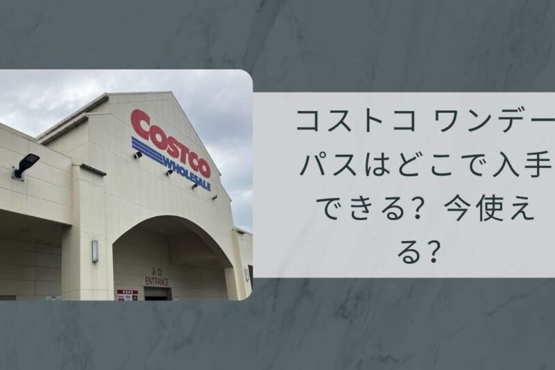 コストコ ワンデーパスはどこで入手できる？今使える？1日招待券の最新情報と非会員でも入れる方法まとめ【2026年最新】