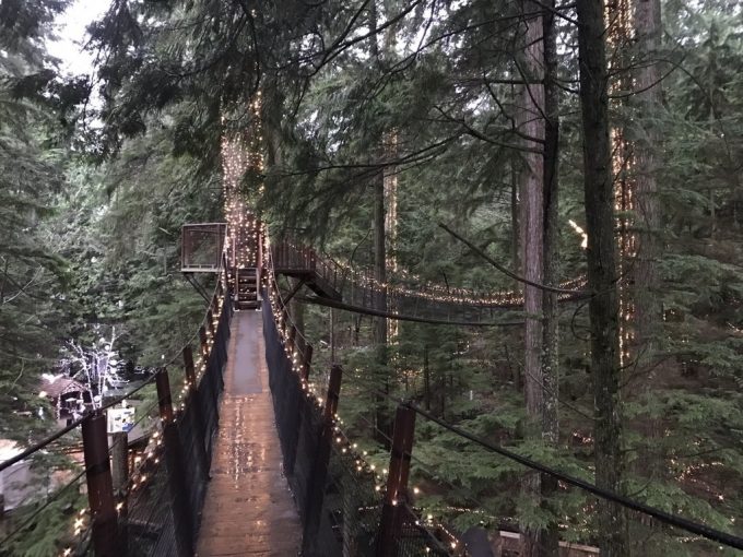 Capilano Suspention Bridge キャピラノブリッジ2