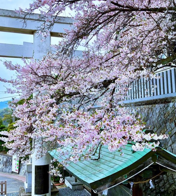 三輪明神広島分祠