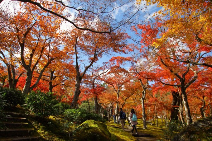 箱根美術館 紅葉