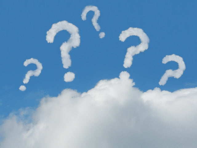 ハルニレの木はもう一つある?