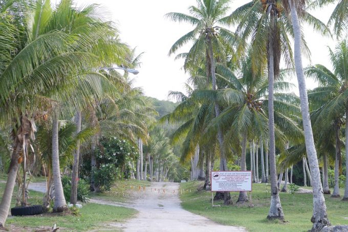 ロタ島
