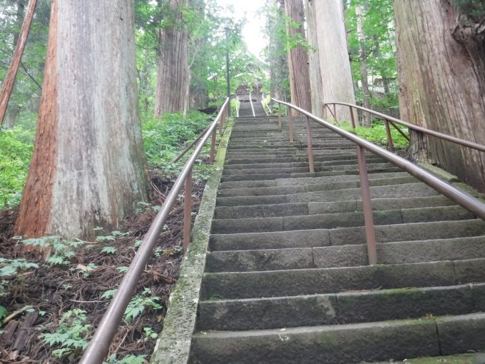 五社巡りの注意点