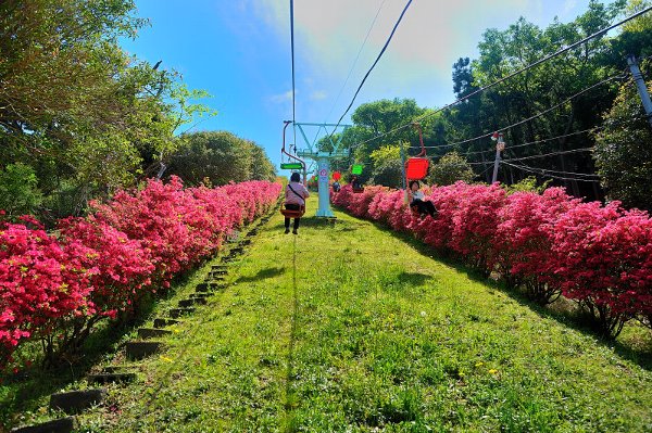 静岡 花畑 小室山公園