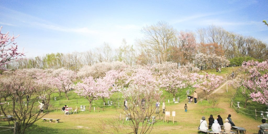 平岡公園