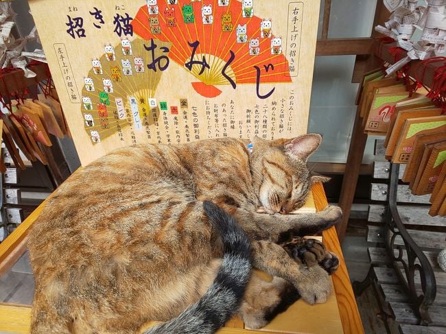 御誕生寺