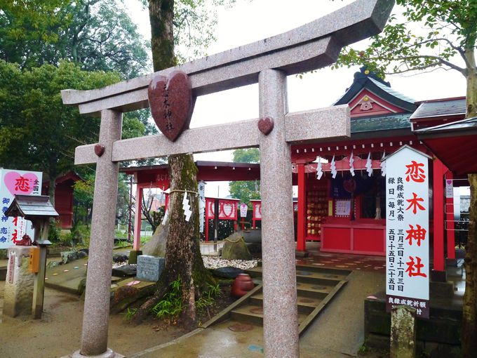 福岡 インスタ映え 恋木神社
