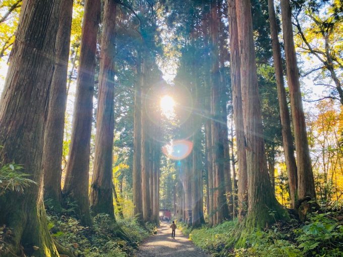 戸隠神社について
