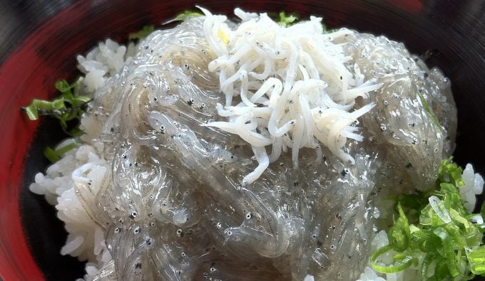 田子の浦漁港の「しらす」