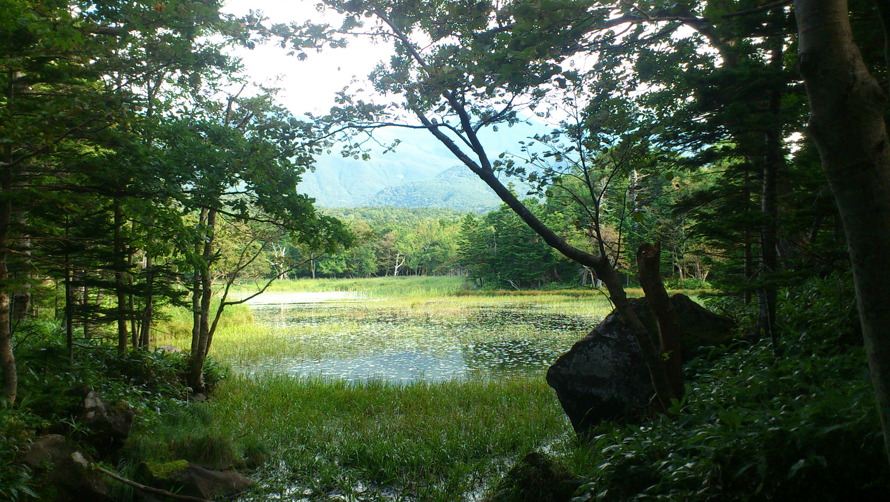 知床5湖