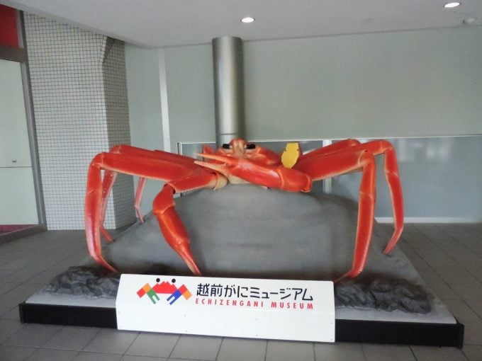 越前がにってどんなカニ?