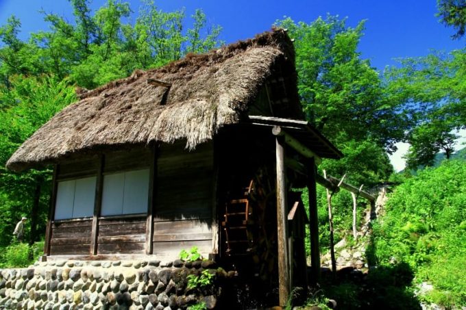 白川郷 野外博物館合掌造り民家園