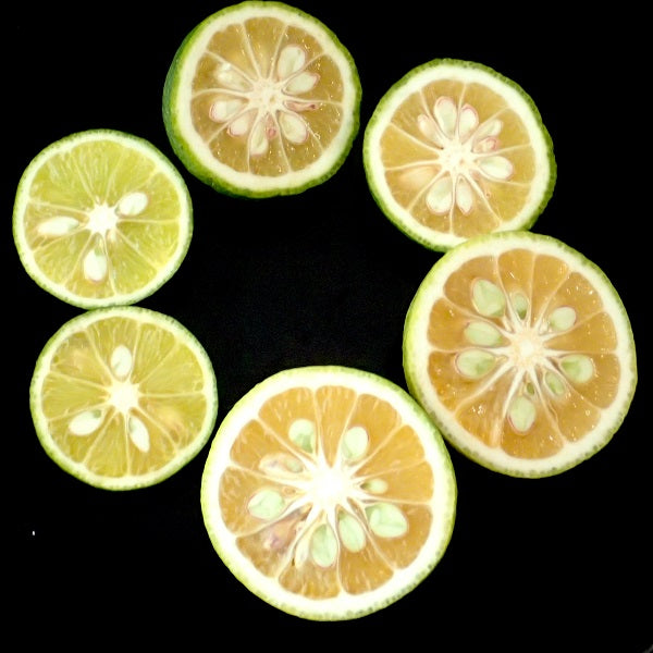 香酸柑橘
