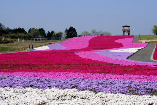 島根弁　～がや