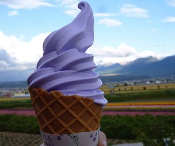 北海道のソフトクリームを厳選